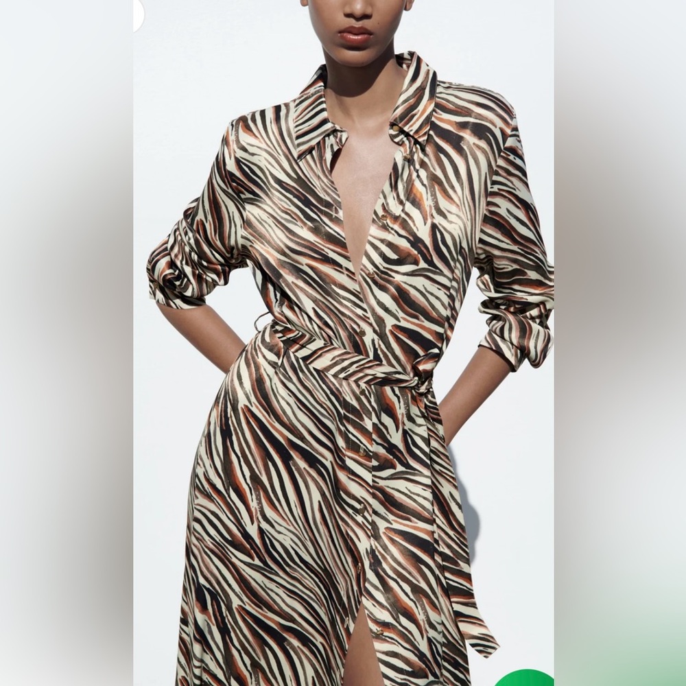 NWT Zara zebra print shirt dress